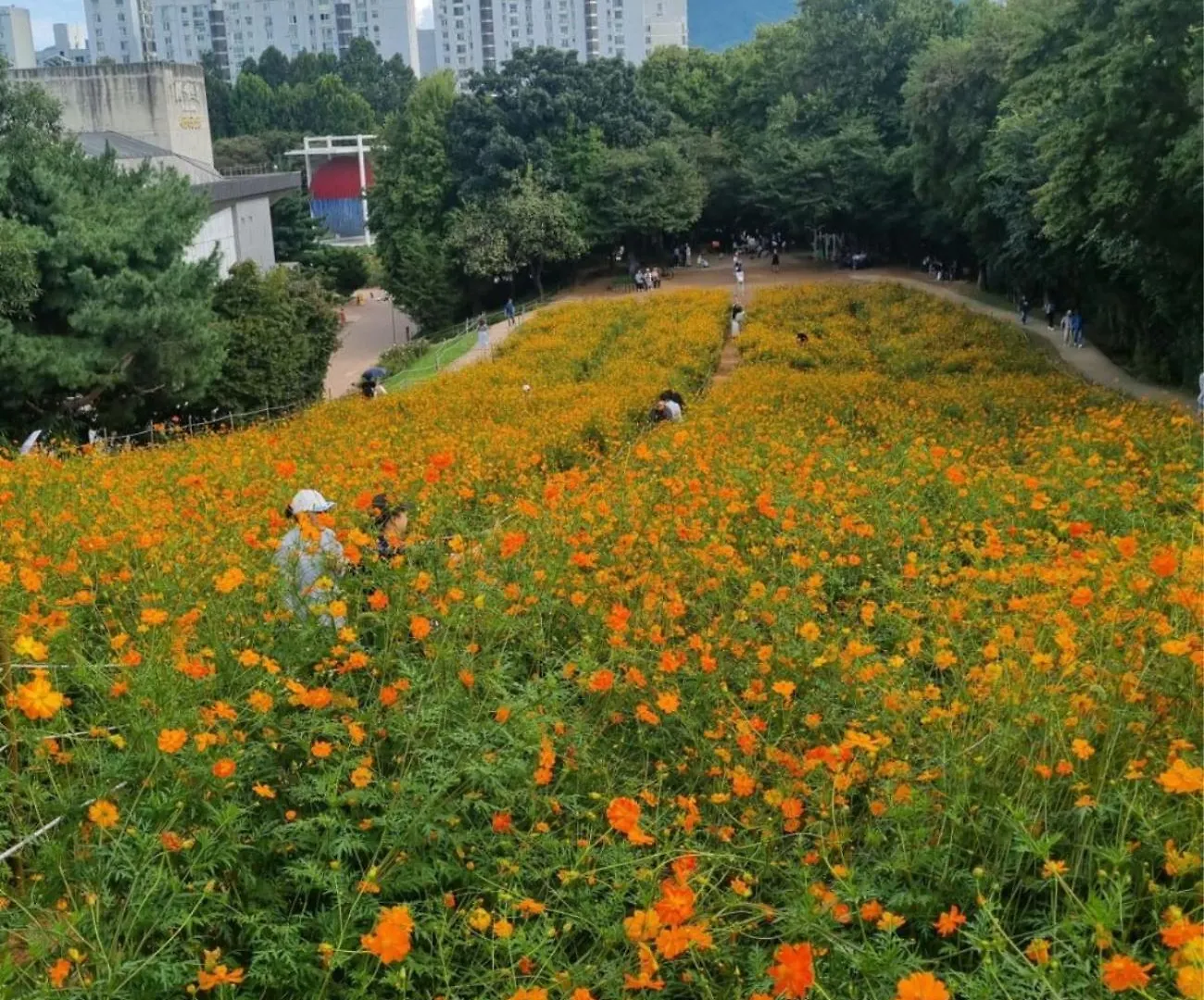 Appartement New Building Jeong Stay Lotte World Jamsil Seokchon Lake Kspo Olympic Park Asan Hospital Family Accommodation Free Parking Séoul Corée du Sud